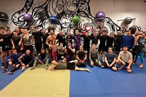 Ultimate Guide to Vale Tudo MMA Fighting | Ultimate Guide to MMA: Training, Techniques, and Top Fighters in The World