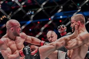 Powerful MMA Kicks: Techniques & Training | Ultimate Guide to MMA: Training, Techniques, and Top Fighters in The World