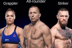 What is MMA Fighting? A Beginner's Guide | Ultimate Guide to MMA: Training, Techniques, and Top Fighters in The World