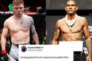 The Ultimate Guide to Chin in MMA Training | Ultimate Guide to MMA: Training, Techniques, and Top Fighters in The World