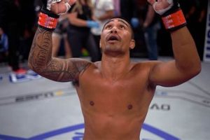 Top MMA Fighters From Hawaii: Island Warriors | Ultimate Guide to MMA: Training, Techniques, and Top Fighters in The World