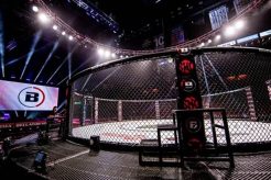 Ballator Mma | Ultimate Guide to MMA: Training, Techniques, and Top Fighters in The World