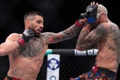 Discover MMA in Spain: Your Fight Guide | Ultimate Guide to MMA: Training, Techniques, and Top Fighters in The World