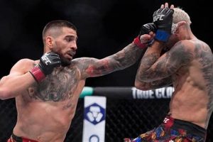 Discover MMA in Spain: Your Fight Guide | Ultimate Guide to MMA: Training, Techniques, and Top Fighters in The World