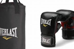 Best Everlast MMA Bag: Top Picks & Reviews | Ultimate Guide to MMA: Training, Techniques, and Top Fighters in The World