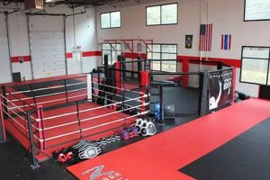 Best MMA Fighting Gym: Train Like a Pro | Ultimate Guide to MMA: Training, Techniques, and Top Fighters in The World