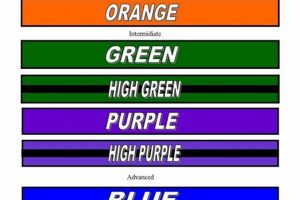 MMA Belt Colors Explained: A Complete Guide | Ultimate Guide to MMA: Training, Techniques, and Top Fighters in The World