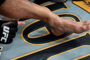 Gruesome MMA Broken Leg Injuries: Causes & Recovery | Ultimate Guide to MMA: Training, Techniques, and Top Fighters in The World