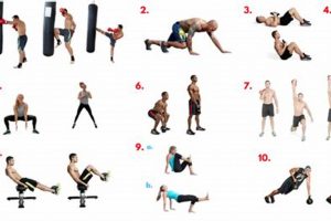 Ultimate MMA Conditioning Routine Guide Ultimate Guide to MMA: Training, Techniques, and Top Fighters in The World Ultimate MMA Conditioning Routine Guide | Ultimate Guide to MMA: Training, Techniques, and Top Fighters in The World