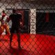 Level Up with Private MMA Lessons: Train Smart | Ultimate Guide to MMA: Training, Techniques, and Top Fighters in The World