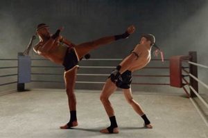 Top 5: Great MMA Movies You Must See Ultimate Guide to MMA: Training, Techniques, and Top Fighters in The World Top 5: Great MMA Movies You Must See | Ultimate Guide to MMA: Training, Techniques, and Top Fighters in The World