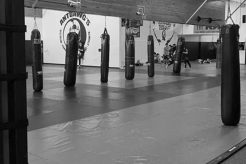 Best MMA Gyms & Training in Salinas, CA | Ultimate Guide to MMA: Training, Techniques, and Top Fighters in The World