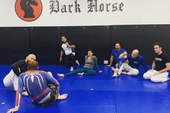 The Rise of Dark Horse MMA Fighters | Ultimate Guide to MMA: Training, Techniques, and Top Fighters in The World