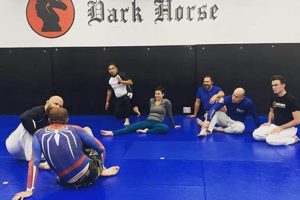 The Rise of Dark Horse MMA Fighters | Ultimate Guide to MMA: Training, Techniques, and Top Fighters in The World