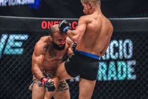 MMA Fighter Groin Kick Aftermath & Recovery Ultimate Guide to MMA: Training, Techniques, and Top Fighters in The World MMA Fighter Groin Kick Aftermath & Recovery | Ultimate Guide to MMA: Training, Techniques, and Top Fighters in The World