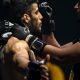 Best MMA Gyms & Training in Tucson, AZ | Ultimate Guide to MMA: Training, Techniques, and Top Fighters in The World