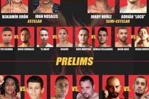 Ultimate MMA Fights in Phoenix: Live Events Ultimate Guide to MMA: Training, Techniques, and Top Fighters in The World Ultimate MMA Fights in Phoenix: Live Events | Ultimate Guide to MMA: Training, Techniques, and Top Fighters in The World
