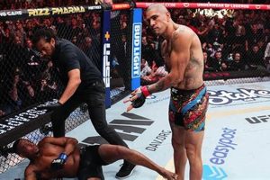 UFC's Alex Pereira MMA: Middleweight Knockout King | Ultimate Guide to MMA: Training, Techniques, and Top Fighters in The World