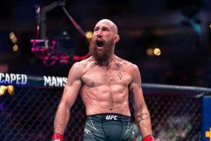 Pro MMA Fighter Kyle Nelson: Career & Fight Stats | Ultimate Guide to MMA: Training, Techniques, and Top Fighters in The World