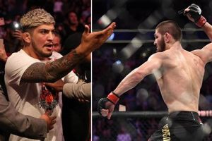 Dillon Danis vs Khabib: Breakdown & Analysis | Ultimate Guide to MMA: Training, Techniques, and Top Fighters in The World