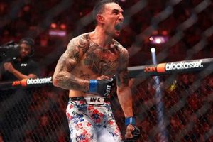 Epic Clash: Max Holloway vs Khabib Nurmagomedov | Ultimate Guide to MMA: Training, Techniques, and Top Fighters in The World