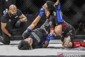 Ultimate MMA Championships Guide & Analysis Ultimate Guide to MMA: Training, Techniques, and Top Fighters in The World Ultimate MMA Championships Guide & Analysis | Ultimate Guide to MMA: Training, Techniques, and Top Fighters in The World