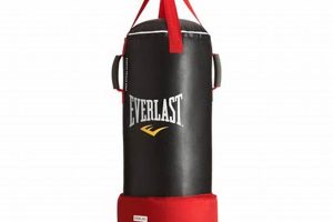 Everlast Mma Punching Bag | Ultimate Guide to MMA: Training, Techniques, and Top Fighters in The World