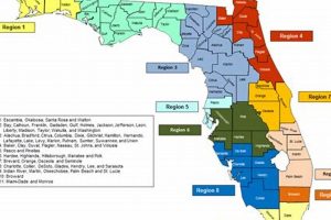Florida MMA & Medicaid: A Fighter's Guide Ultimate Guide to MMA: Training, Techniques, and Top Fighters in The World Florida MMA & Medicaid: A Fighter's Guide | Ultimate Guide to MMA: Training, Techniques, and Top Fighters in The World