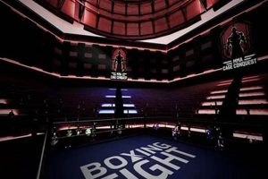 Level Up Your MMA with VR Training | Ultimate Guide to MMA: Training, Techniques, and Top Fighters in The World