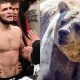 Khabib Nurmagomedov Wrestling A Bear | Ultimate Guide to MMA: Training, Techniques, and Top Fighters in The World
