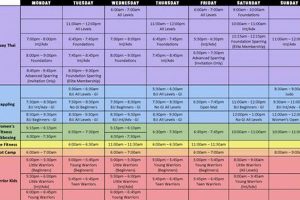 Official Pentagon MMA Fight Schedule & Results | Ultimate Guide to MMA: Training, Techniques, and Top Fighters in The World