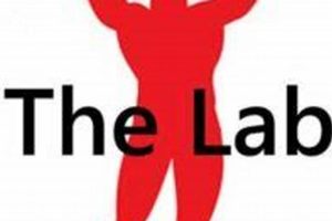 Elevate Your Game: The Lab MMA Training | Ultimate Guide to MMA: Training, Techniques, and Top Fighters in The World