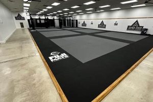 Mats Mma | Ultimate Guide to MMA: Training, Techniques, and Top Fighters in The World