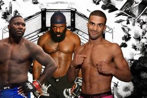 Is MMA Dying? The Future of Combat Sports | Ultimate Guide to MMA: Training, Techniques, and Top Fighters in The World