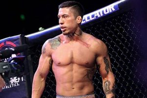 The Rise and Fall of War Machine MMA Fighter | Ultimate Guide to MMA: Training, Techniques, and Top Fighters in The World