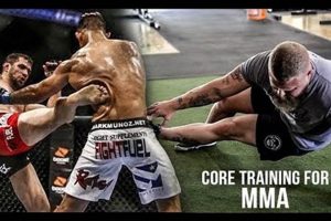 Best Core Exercises for MMA Fighters: Top Moves | Ultimate Guide to MMA: Training, Techniques, and Top Fighters in The World
