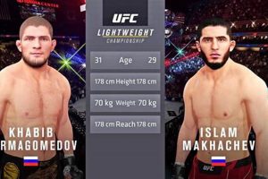 Islam Vs Khabib | Ultimate Guide to MMA: Training, Techniques, and Top Fighters in The World