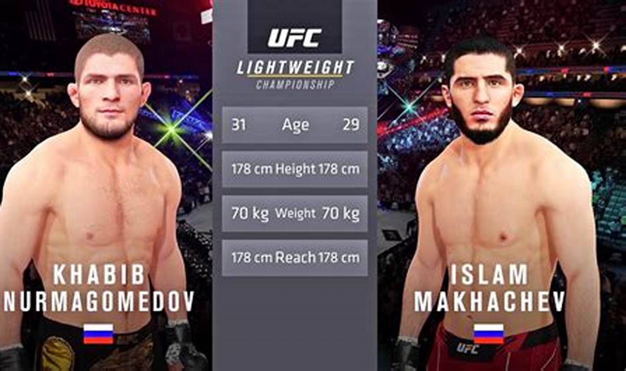 Islam Vs Khabib | Ultimate Guide to MMA: Training, Techniques, and Top Fighters in The World