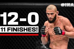 MMA Finishes Explained: Types & Examples | Ultimate Guide to MMA: Training, Techniques, and Top Fighters in The World