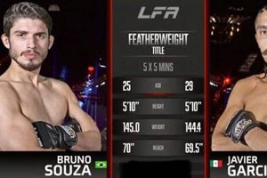 Bruno Souza Mma | Ultimate Guide to MMA: Training, Techniques, and Top Fighters in The World