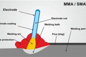 Mma Strwams | Ultimate Guide to MMA: Training, Techniques, and Top Fighters in The World