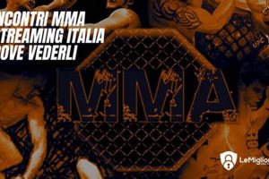 Ultimate Incontri MMA Showdowns Ultimate Guide to MMA: Training, Techniques, and Top Fighters in The World Ultimate Incontri MMA Showdowns | Ultimate Guide to MMA: Training, Techniques, and Top Fighters in The World