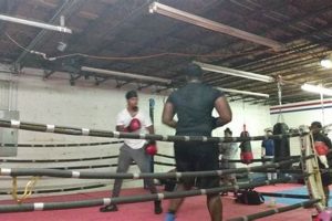 Safe Training for Ruff House Boxing and MMA Skills | Ultimate Guide to MMA: Training, Techniques, and Top Fighters in The World