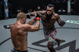 The Ultimate Guide to MMA Punch Techniques | Ultimate Guide to MMA: Training, Techniques, and Top Fighters in The World