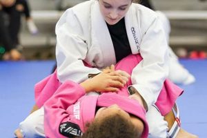 Essential MMA Jiu-Jitsu Techniques & Strategies | Ultimate Guide to MMA: Training, Techniques, and Top Fighters in The World