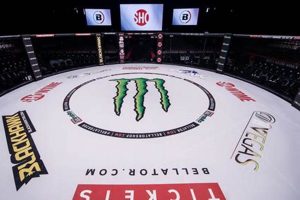 MMA Sponsorship: A Fighter's Guide | Ultimate Guide to MMA: Training, Techniques, and Top Fighters in The World