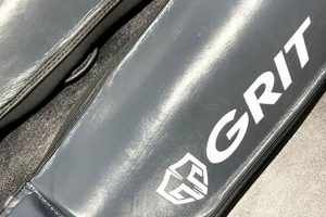 Unleash Your Grit: MMA Training & Mindset | Ultimate Guide to MMA: Training, Techniques, and Top Fighters in The World