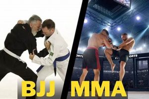 Brazilian Jiu Jitsu Vs Mma | Ultimate Guide to MMA: Training, Techniques, and Top Fighters in The World