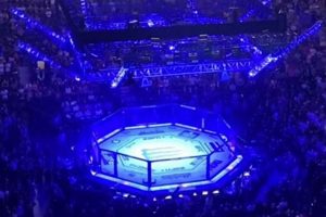 Upcoming NYC MMA Events & Fight Schedules | Ultimate Guide to MMA: Training, Techniques, and Top Fighters in The World