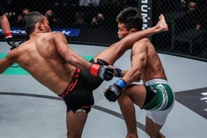 Muay Thai vs. MMA: Which Is Right for You? | Ultimate Guide to MMA: Training, Techniques, and Top Fighters in The World